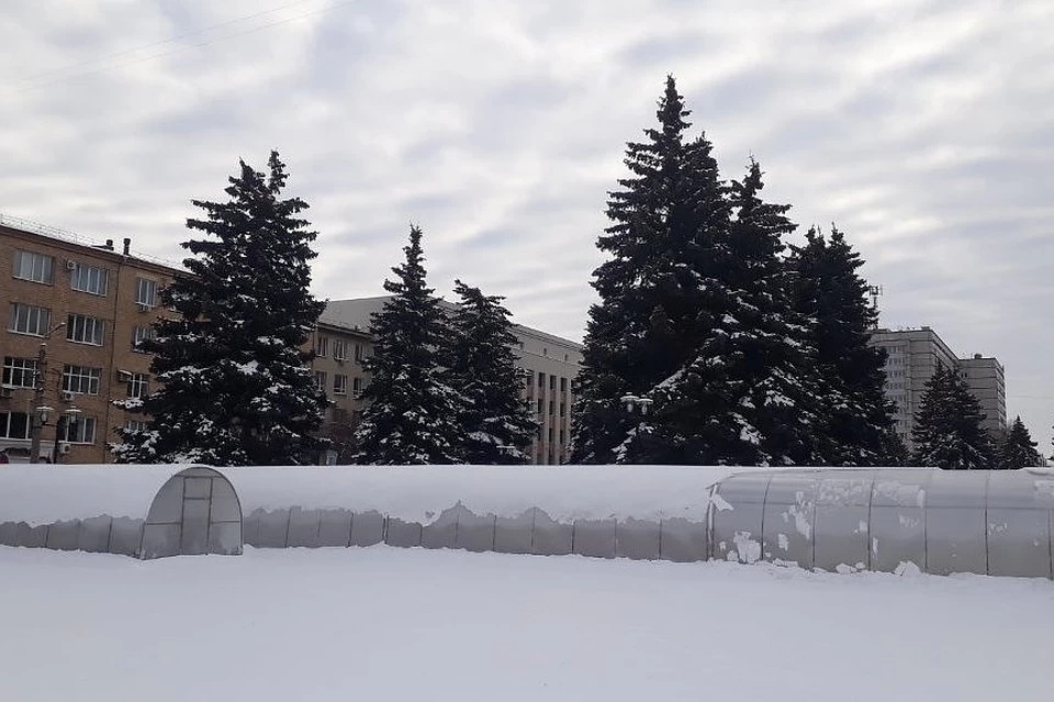 В центре Челябинска установили теплицы